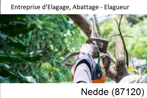 Travaux d'abattage d'arbres à Nedde-87120