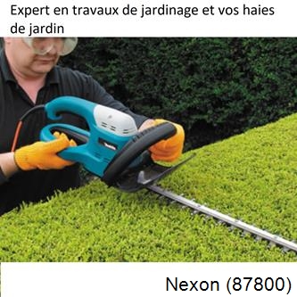 Taille et entretien jardin Nexon-87800