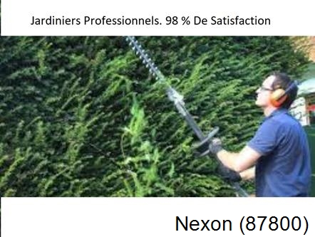 Paysagiste Nexon-87800