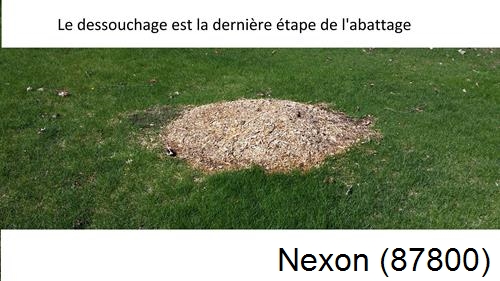 déssouchage d'arbres Nexon-87800