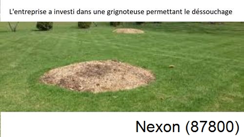 Artisan pour déssouchage d'arbres Nexon-87800