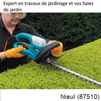 Taille et entretien jardin Nieul-87510