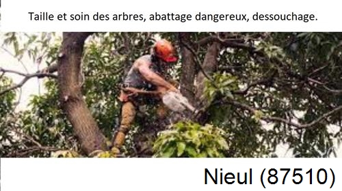 Abattage d'arbres Nieul-87510