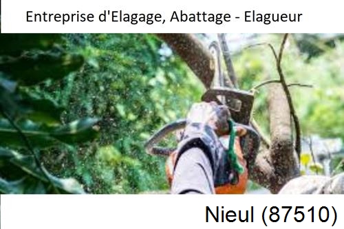 Travaux d'abattage d'arbres à Nieul-87510
