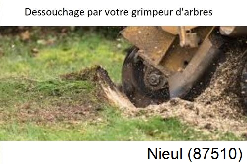 abattage d'arbres à Nieul-87510