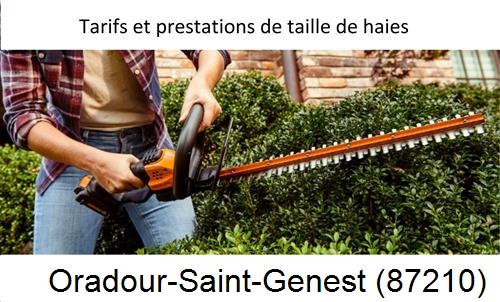 taille de haies Oradour-Saint-Genest-87210