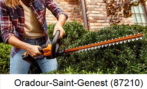 entretien jardin par paysagiste Oradour-Saint-Genest-87210