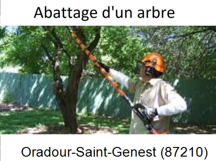 Etêtage et abattage d'un arbre Oradour-Saint-Genest-87210