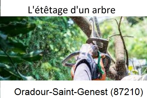 Artisan Abatteur d'arbres Oradour-Saint-Genest-87210
