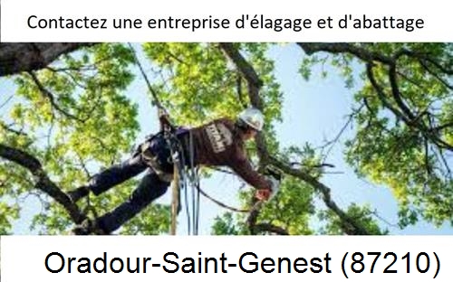 Travaux d'élagage à Oradour-Saint-Genest-87210