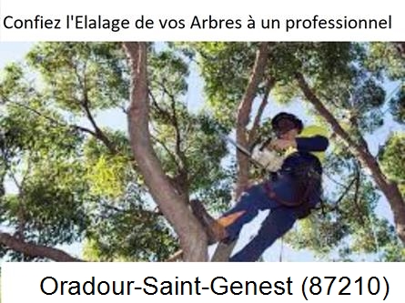 Société d'élagage à Oradour-Saint-Genest-87210