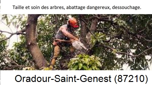 Abattage d'arbres Oradour-Saint-Genest-87210