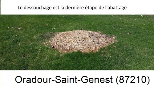 déssouchage d'arbres Oradour-Saint-Genest-87210