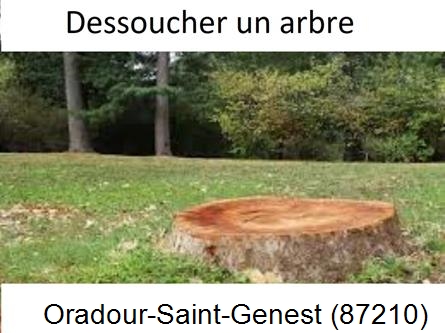 Travaux d'entretien extérieur Oradour-Saint-Genest-87210