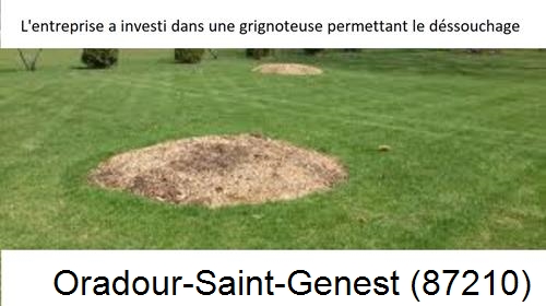 Artisan pour déssouchage d'arbres Oradour-Saint-Genest-87210