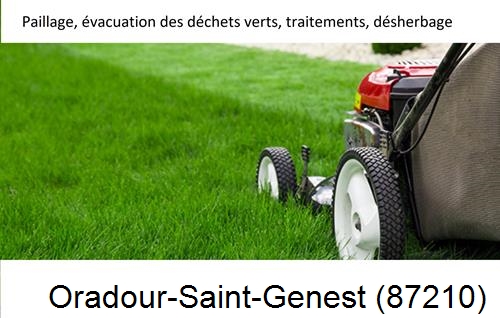 Entreprise de paysage pour entretien de jardin Oradour-sur-Glane-87520