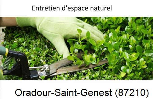 Rénovation jardin particulier Oradour-sur-Glane-87520