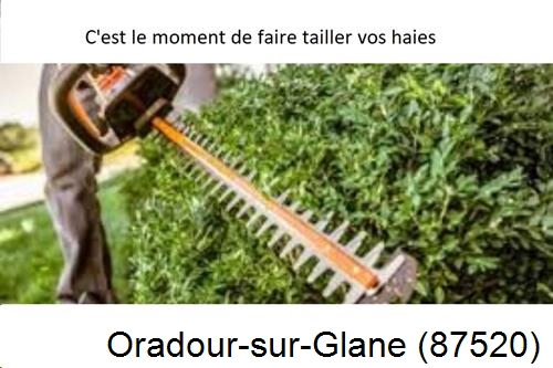 Entreprise de paysage Oradour-sur-Glane-87520