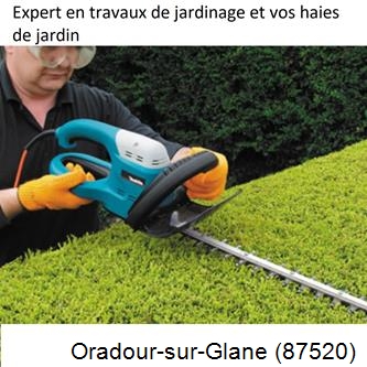 Taille et entretien jardin Oradour-sur-Glane-87520