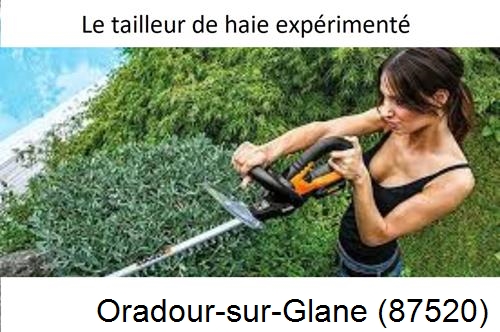 entretien jardin à Oradour-sur-Glane-87520
