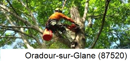 Entreprise du paysage Oradour-sur-Glane-87520