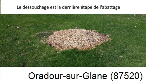 déssouchage d'arbres Oradour-sur-Glane-87520