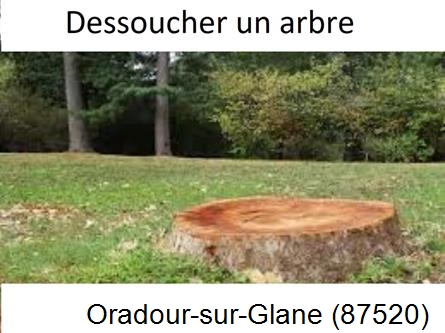 Travaux d'entretien extérieur Oradour-sur-Glane-87520