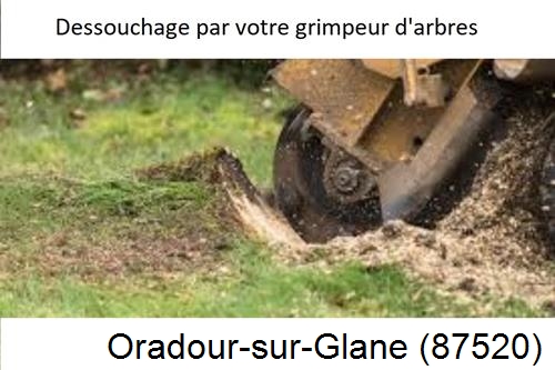 abattage d'arbres à Oradour-sur-Glane-87520