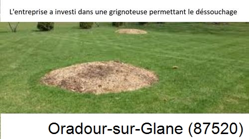 Artisan pour déssouchage d'arbres Oradour-sur-Glane-87520