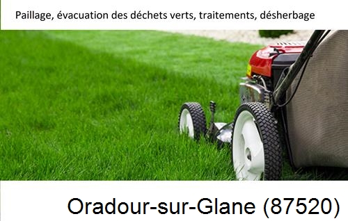 Entreprise de paysage pour entretien de jardin Oradour-sur-Vayres-87150