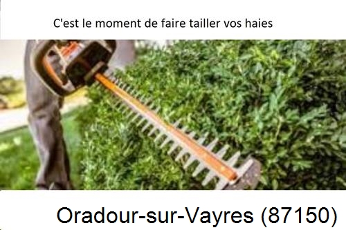 Entreprise de paysage Oradour-sur-Vayres-87150