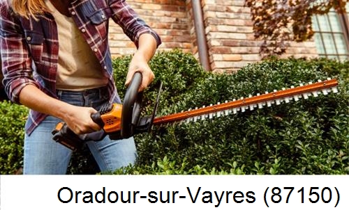 entretien jardin par paysagiste Oradour-sur-Vayres-87150