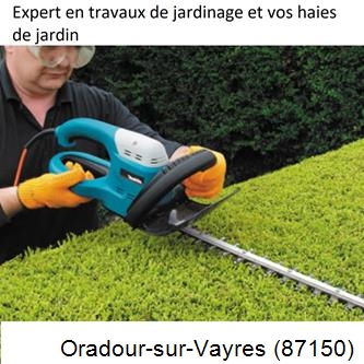 Taille et entretien jardin Oradour-sur-Vayres-87150
