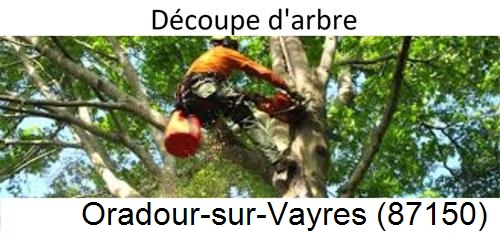 Entreprise du paysage Oradour-sur-Vayres-87150