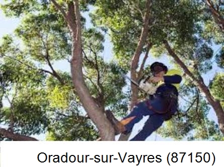 Elagueur à Oradour-sur-Vayres-87150