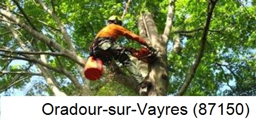 Entreprise du paysage Oradour-sur-Vayres-87150