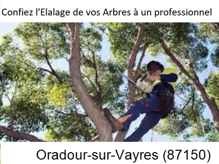Société d'élagage à Oradour-sur-Vayres-87150