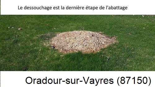 déssouchage d'arbres Oradour-sur-Vayres-87150