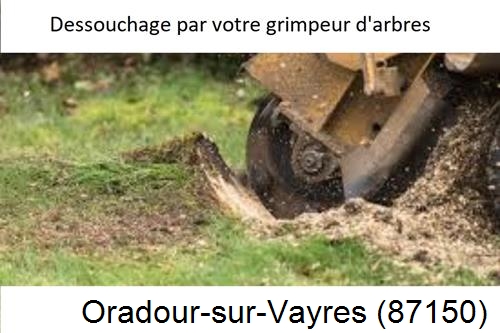abattage d'arbres à Oradour-sur-Vayres-87150