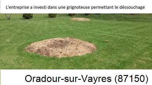 Artisan pour déssouchage d'arbres Oradour-sur-Vayres-87150