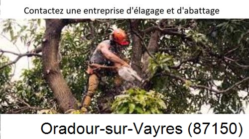Entreprise d'élagage à Oradour-sur-Vayres-87150