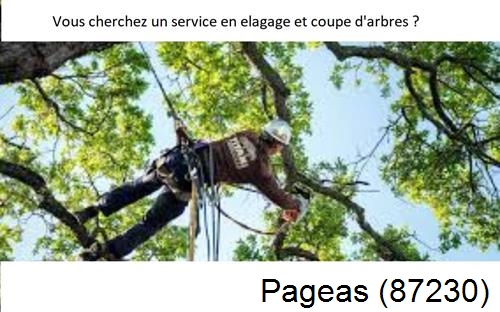 Etêtage d'arbres à Pageas-87230
