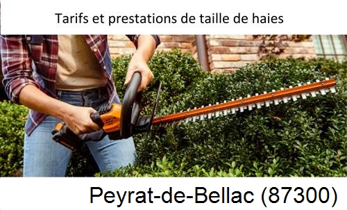 taille de haies Peyrat-de-Bellac-87300
