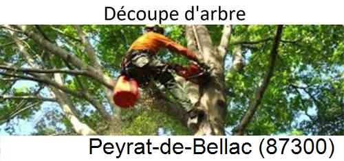 Entreprise du paysage Peyrat-de-Bellac-87300