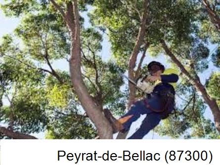 Elagueur à Peyrat-de-Bellac-87300