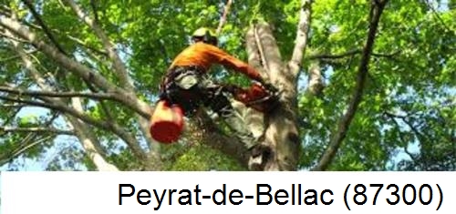Entreprise du paysage Peyrat-de-Bellac-87300