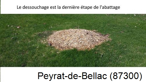 déssouchage d'arbres Peyrat-de-Bellac-87300