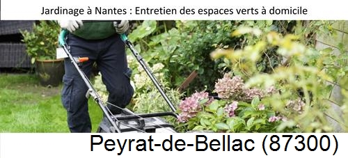 Travaux d'entretien exterieur Peyrat-le-Château-87470
