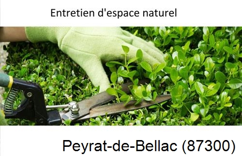 Rénovation jardin particulier Peyrat-le-Château-87470