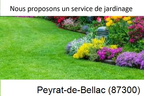 Paysagiste, travaux extérieur Peyrat-le-Château-87470